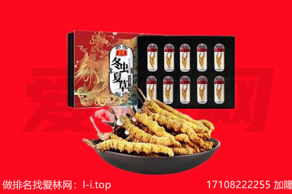 龙岩市上杭回收虫草.jpg